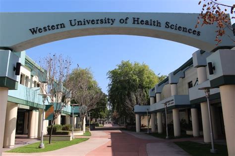 Western university of health sciences pomona - The Security Office is located in the University Services Center, 1st-floor lobby Address: Western University of Health Sciences Campus Security 309 East Second Street Pomona, CA 91766-1854 Email: security@westernu.edu Telephone: (909) 706-3000 or dial 3000 from a campus phone Fax: (909) 706-3813